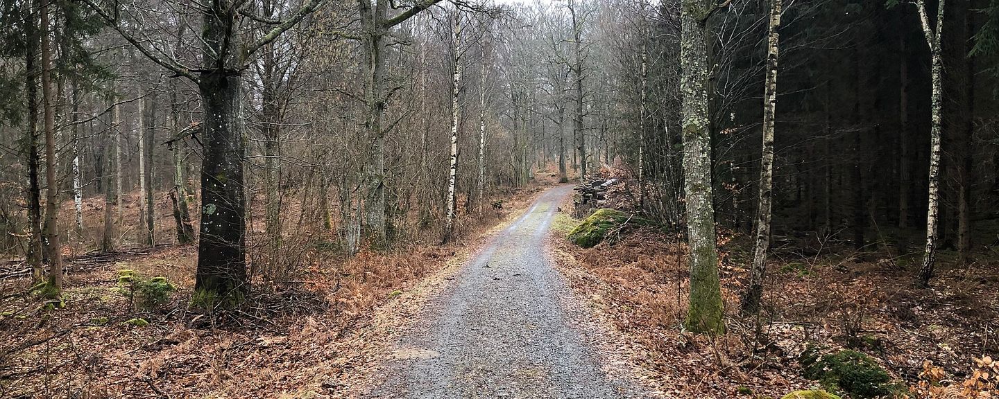 Långasjönäs