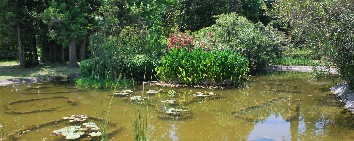 Park «Yuzhnye kultury»