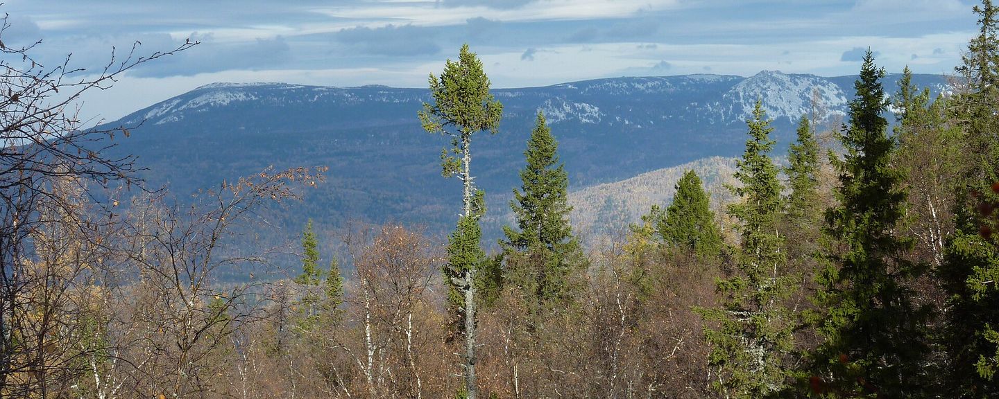 Южно-Уральский заповедник
