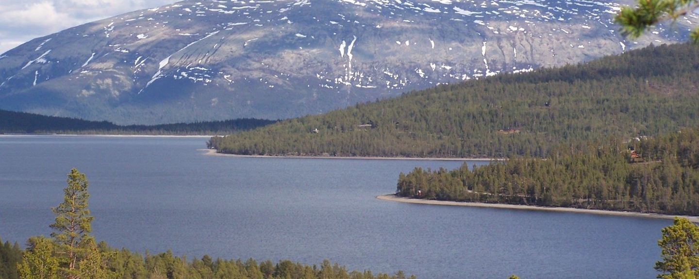 Tronfjell