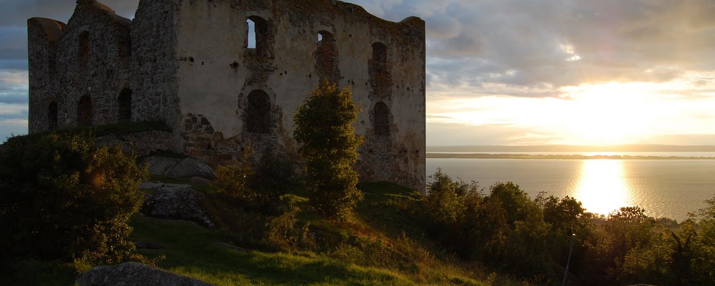 Brahehus