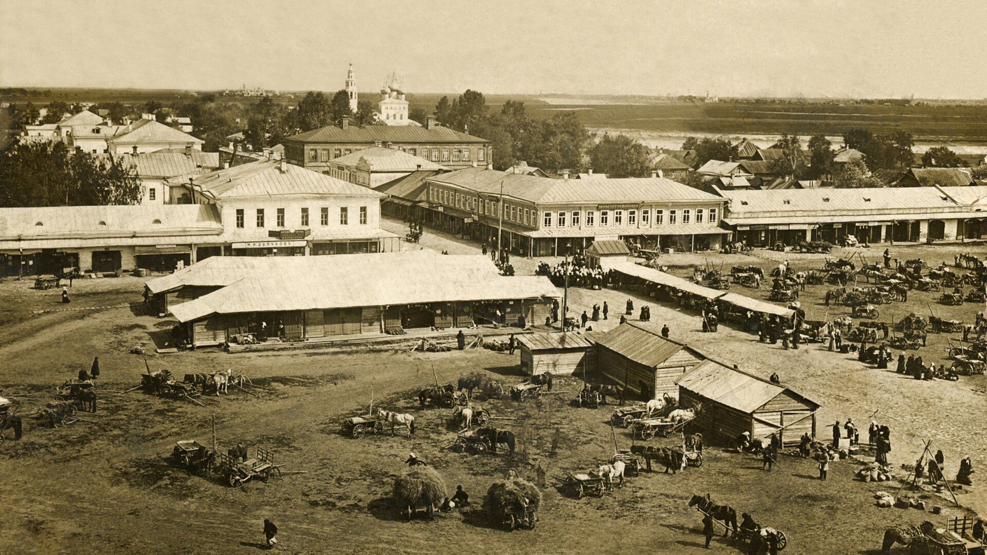Mologa