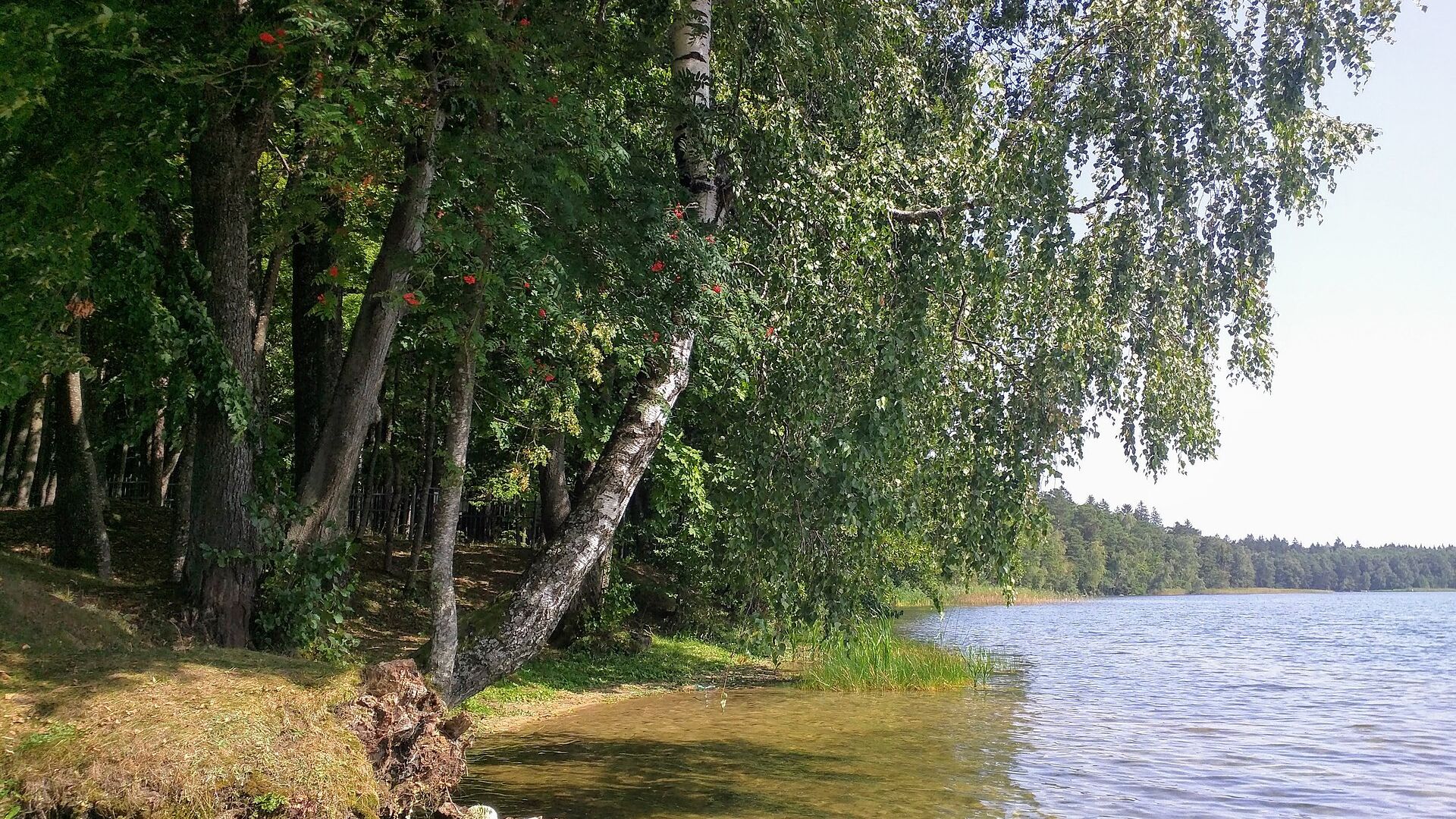 Sviciaź Lake