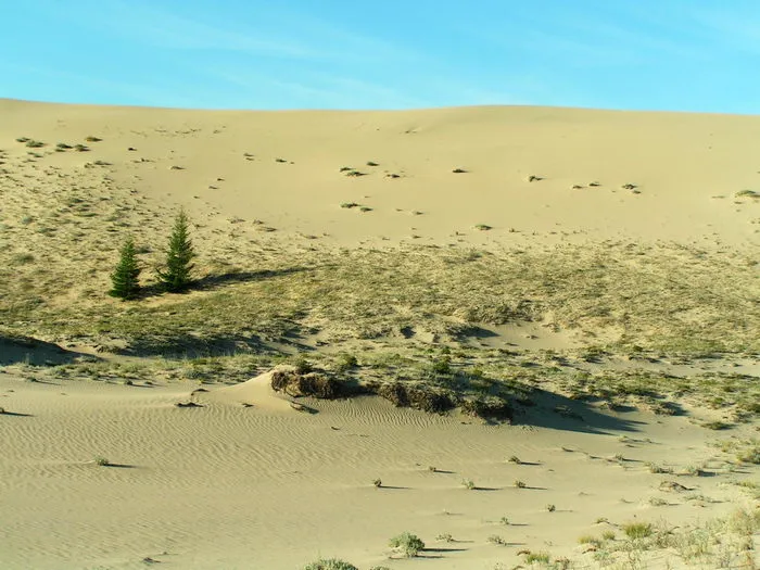 Chara Sands