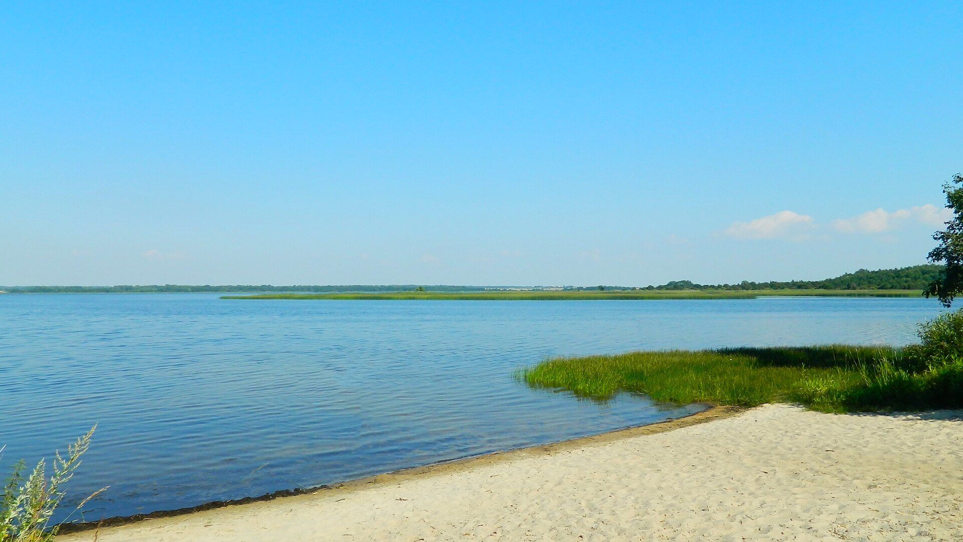 Sialiava