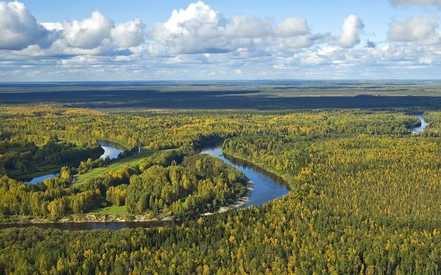 Vasyugan National Park