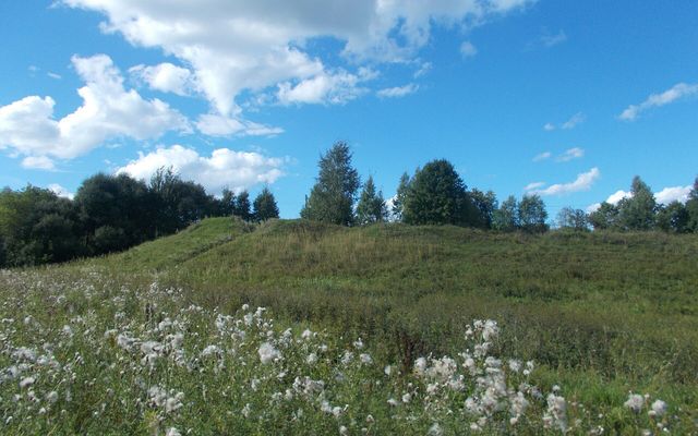 Gnezdovo