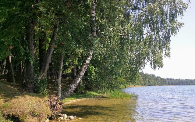 Sviciaź Lake