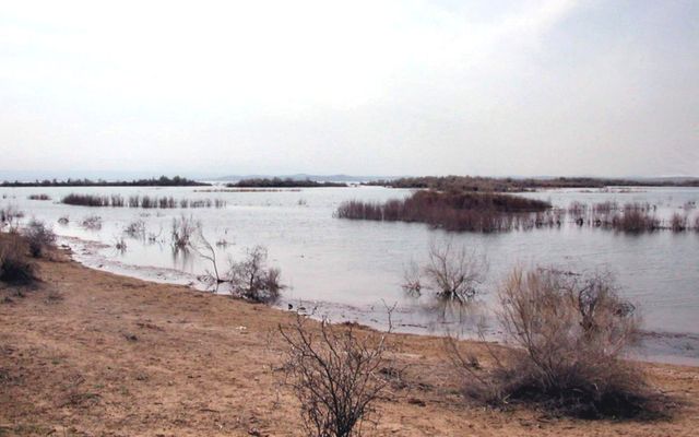 Aydar Lake