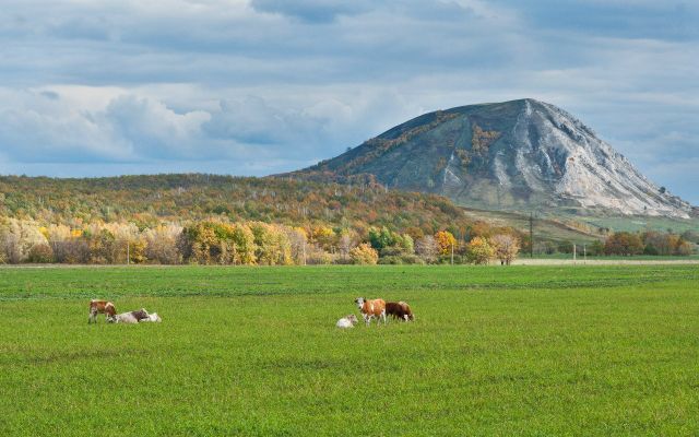 Trataw mountain