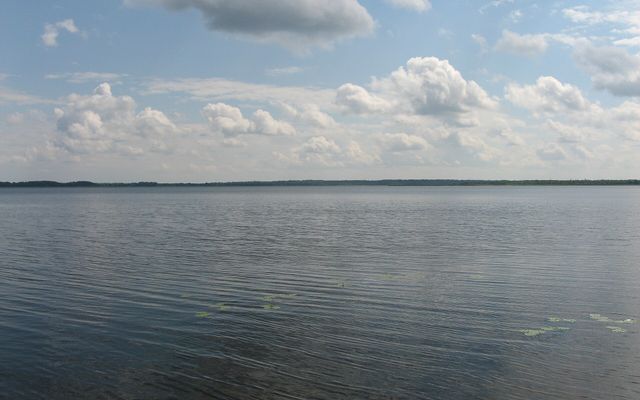 Seliger