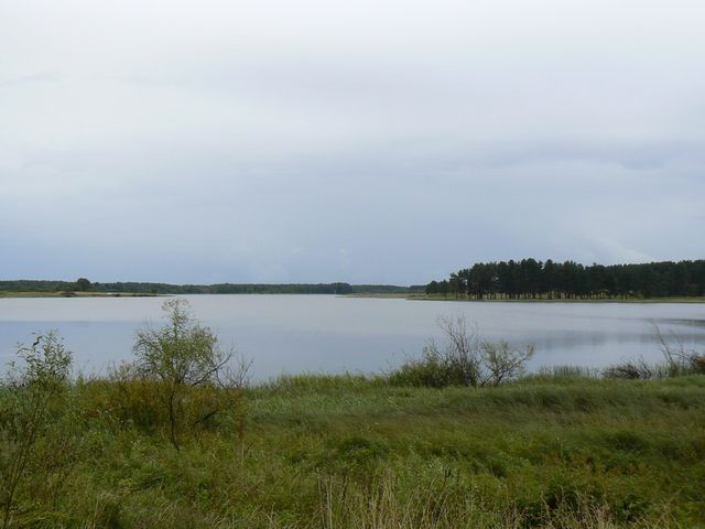 Volgo