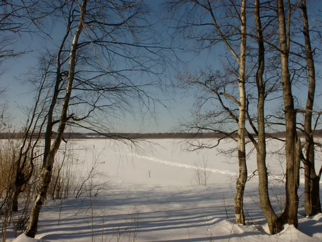 Rakovye Lakes Preserve