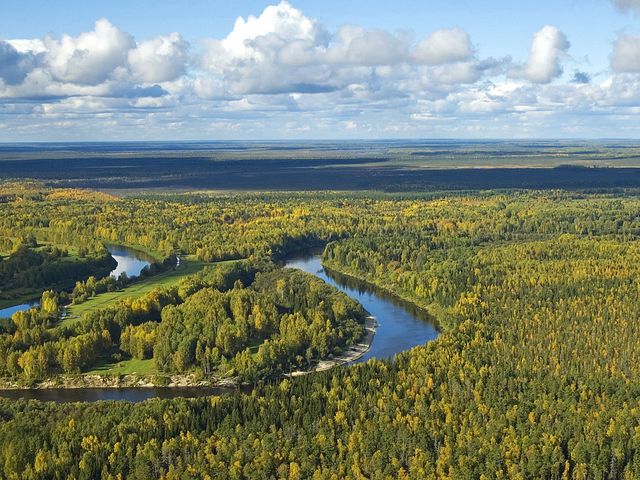 Vasyugan National Park