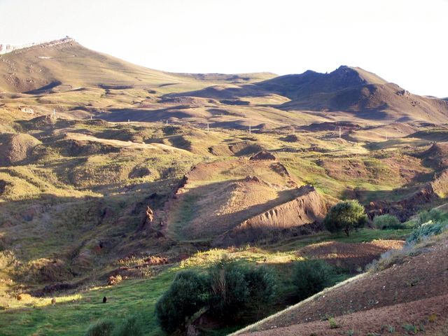 Mount Tendürek