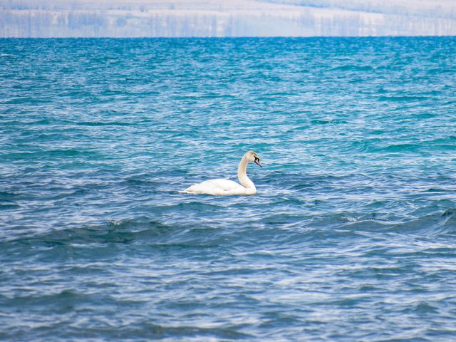 Issyk-Kul State Nature Reserve
