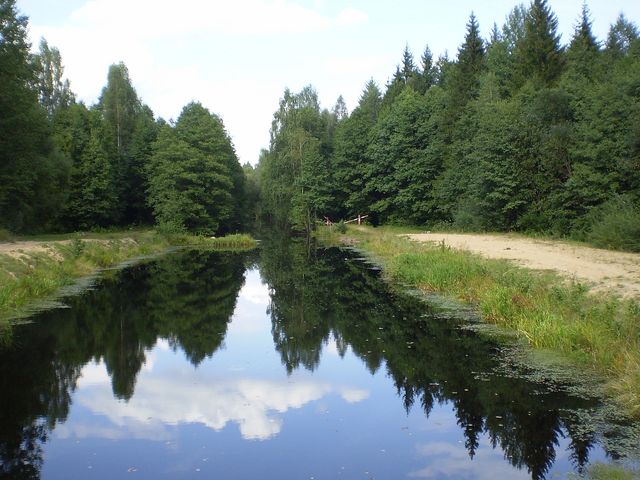 Biarezinski Biosphere Reserve