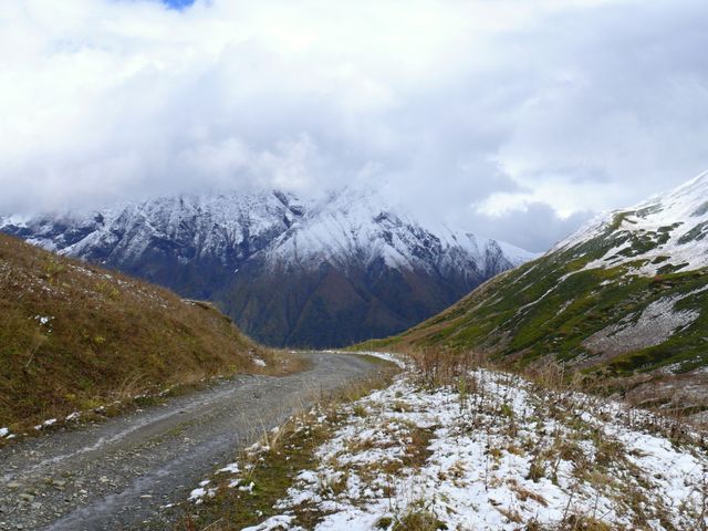 Ailama