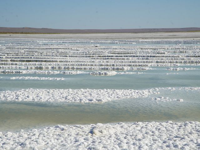 Zhaksykylysh