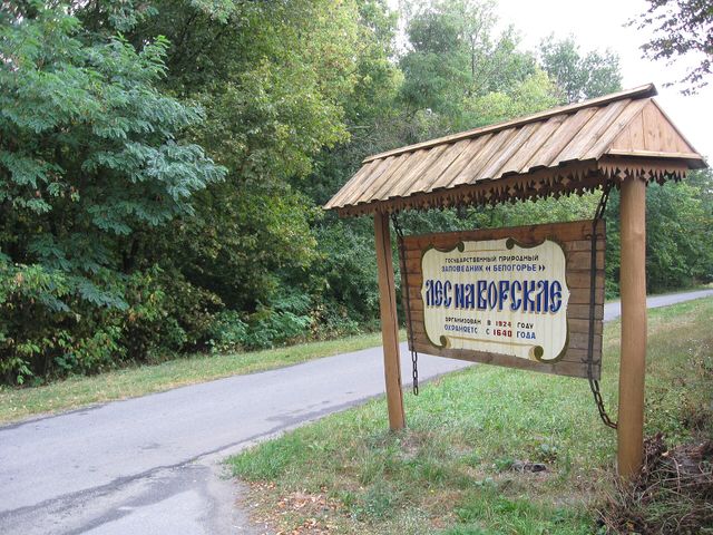 Belogorye Nature Reserve