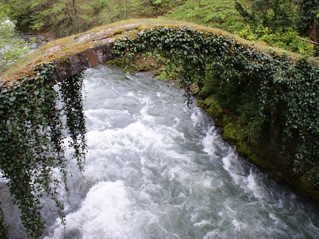 Kintrishi Protected Landscape