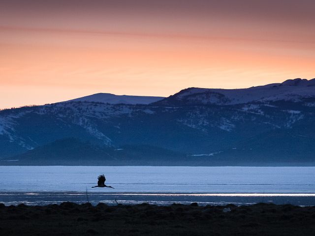 Lake Marqaköl