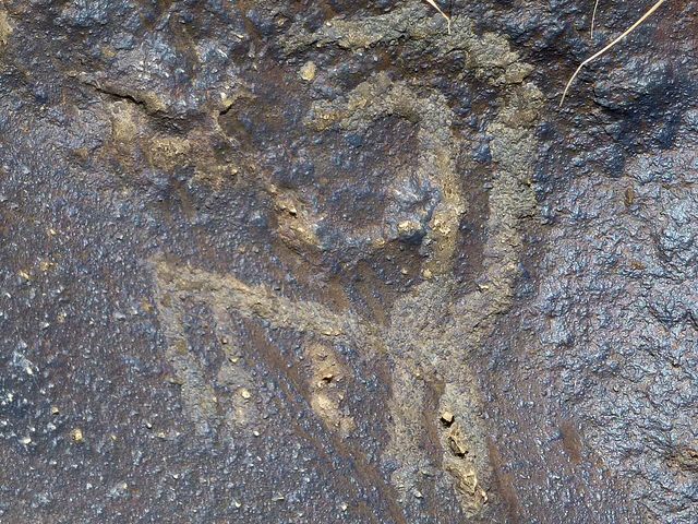 Ughtasar Petroglyphs