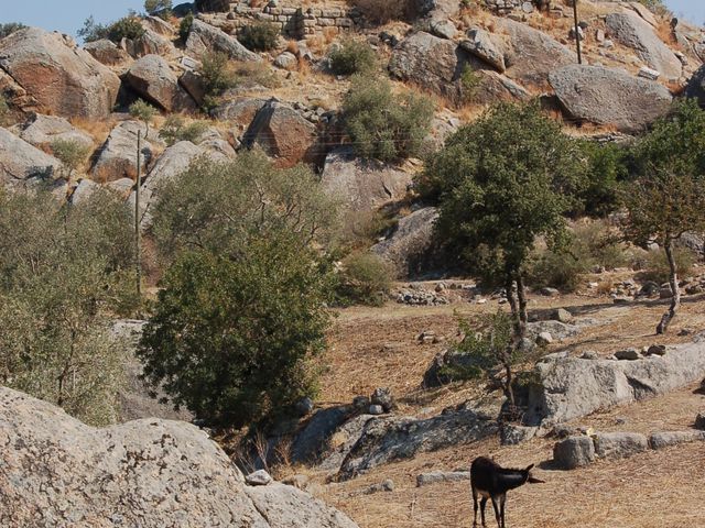 Heraclea at Latmus