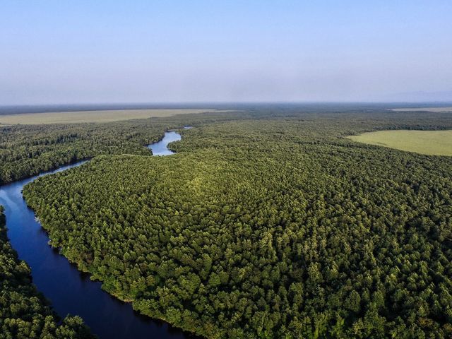 Kolkheti National Park
