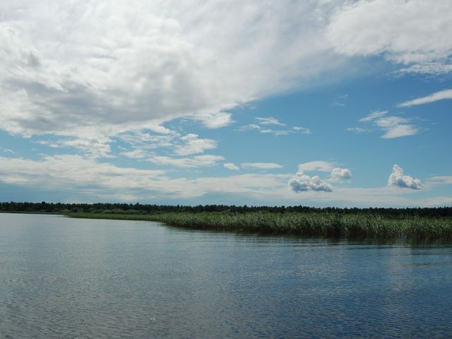 Vozhe