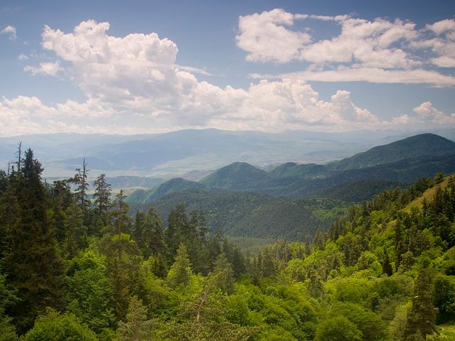 Borjomi-Kharagauli National Park