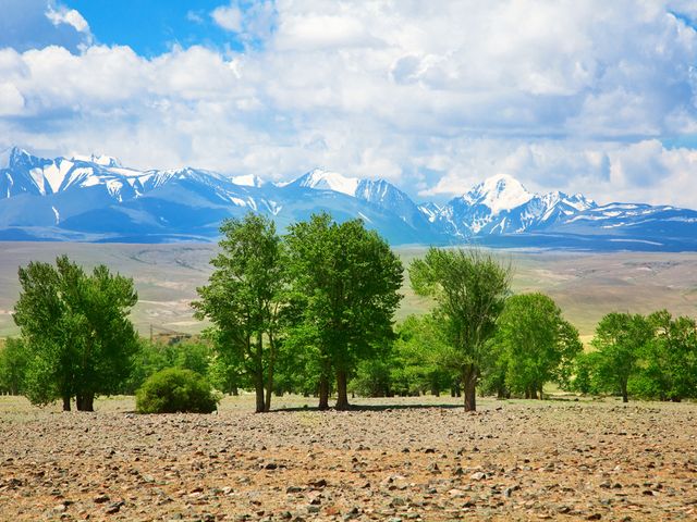 Golden Mountains of Altai