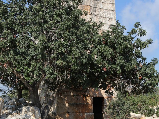 Tower of Gömeç
