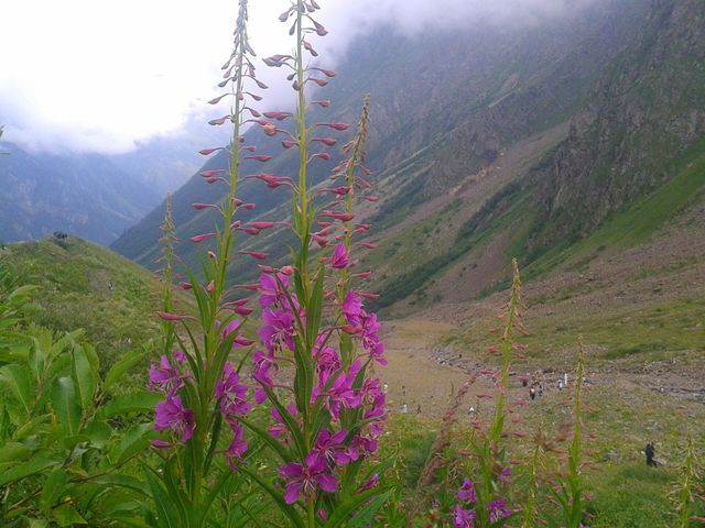 North Ossetia Nature Reserve