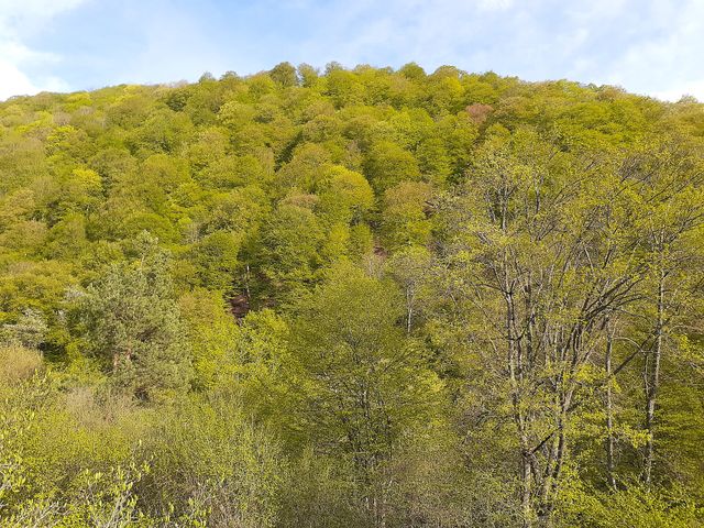 Zikatar Sanctuary