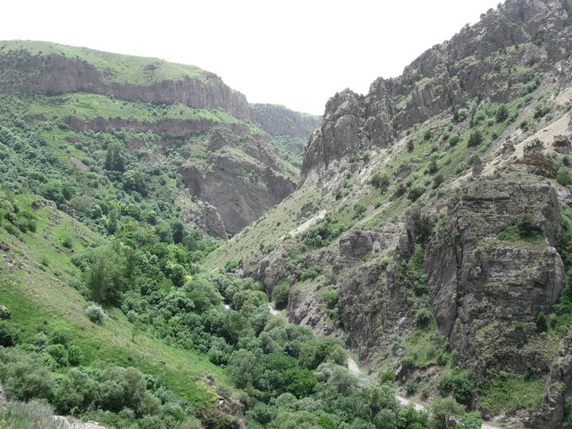 Jermuk Forest Sanctuary