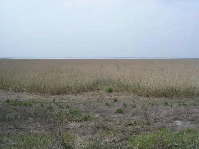 Shapsug Reservoir