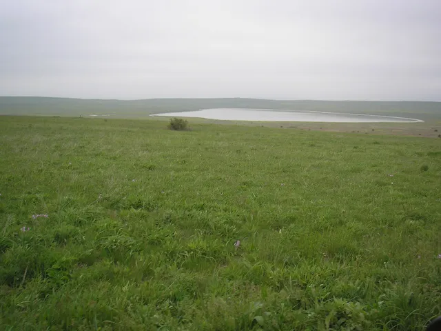 Kirkoyashskoe