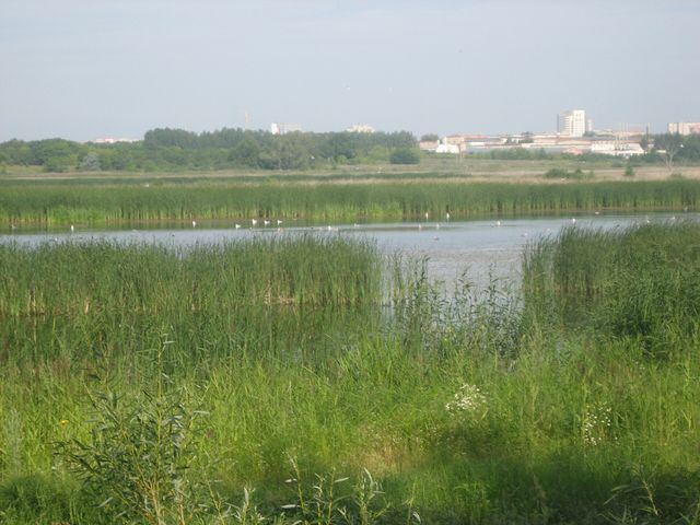 Pamyatnik Prirody Ptich'ya Gavan'