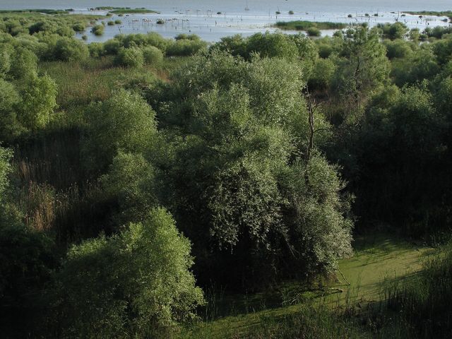 Bird Paradise National Park