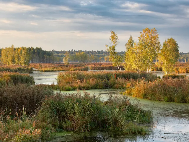 Losiny Ostrov National Park