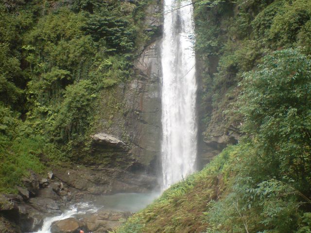 Lagodekhi Protected Areas