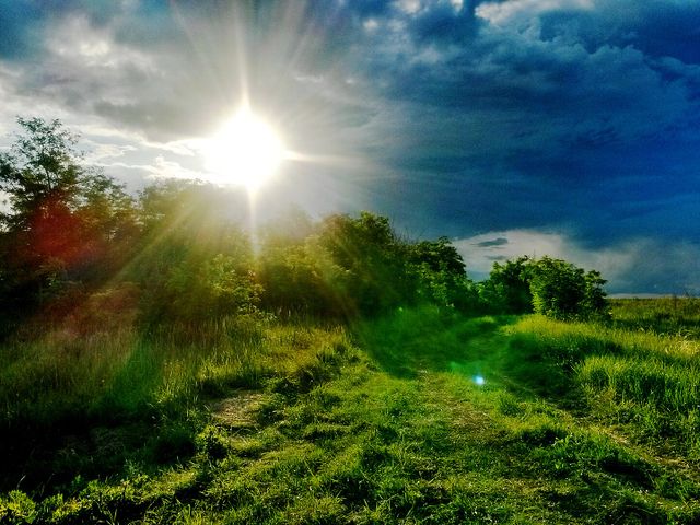 Central Black Earth Nature Reserve
