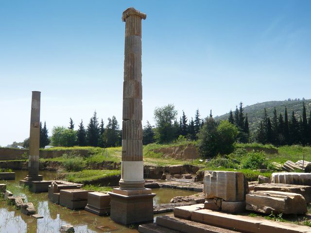 Claros