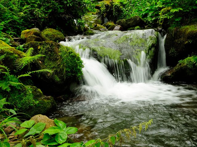 Mtirala National Park