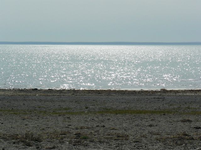 Zun-Torey