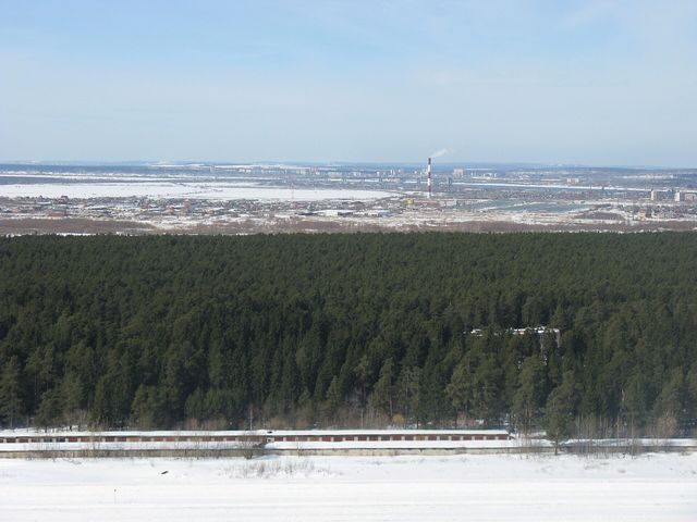 Chernyayevsky Forest