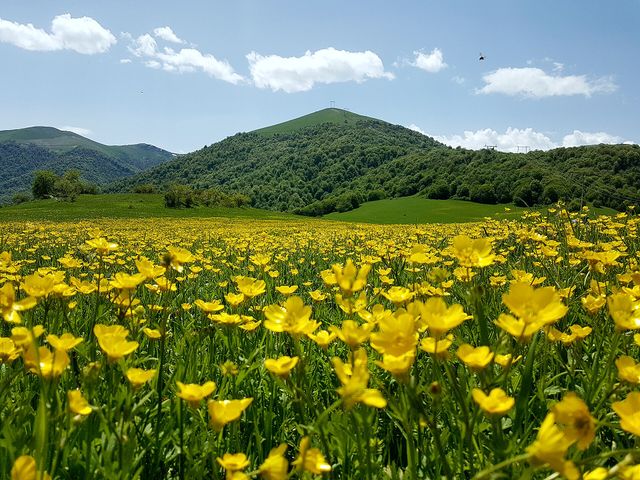 Dilijan National Park
