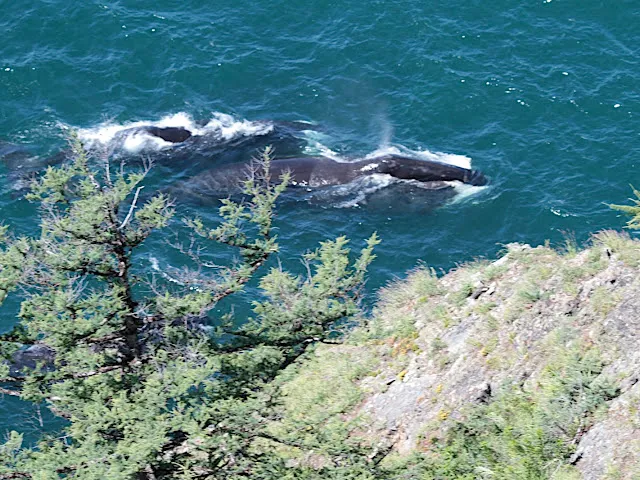 Shantar Islands National Park