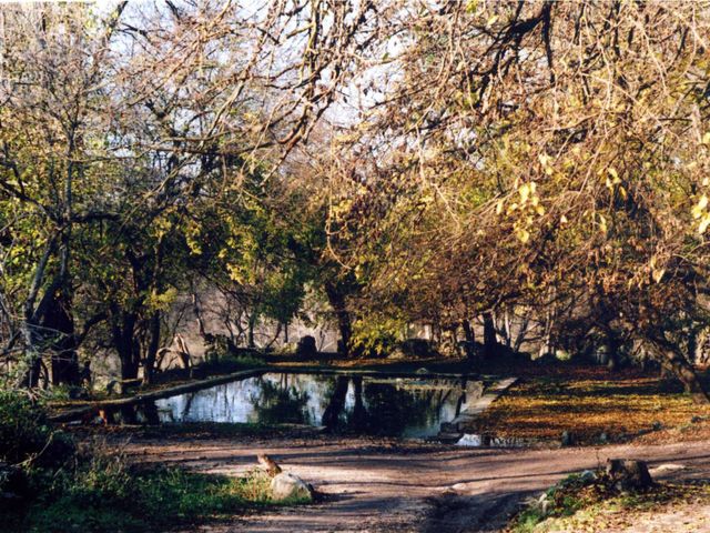 Maksimova Dacha